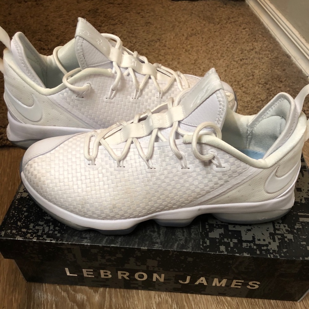 LeBron James XIV Lows size 10